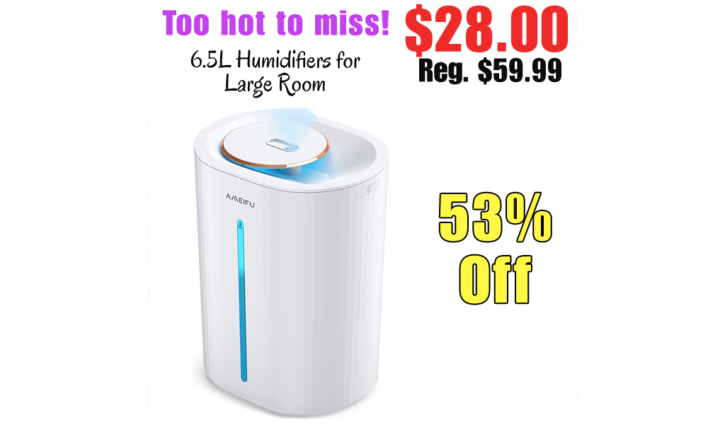 6.5L Humidifiers for Large Room Only $28.00 Shipped on Amazon (Regularly $59.99)