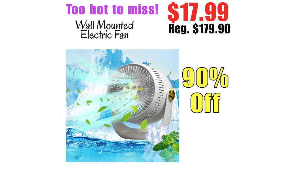 Wall Mounted Electric Fan Only $17.99 Shipped on Amazon (Regularly $179.90)