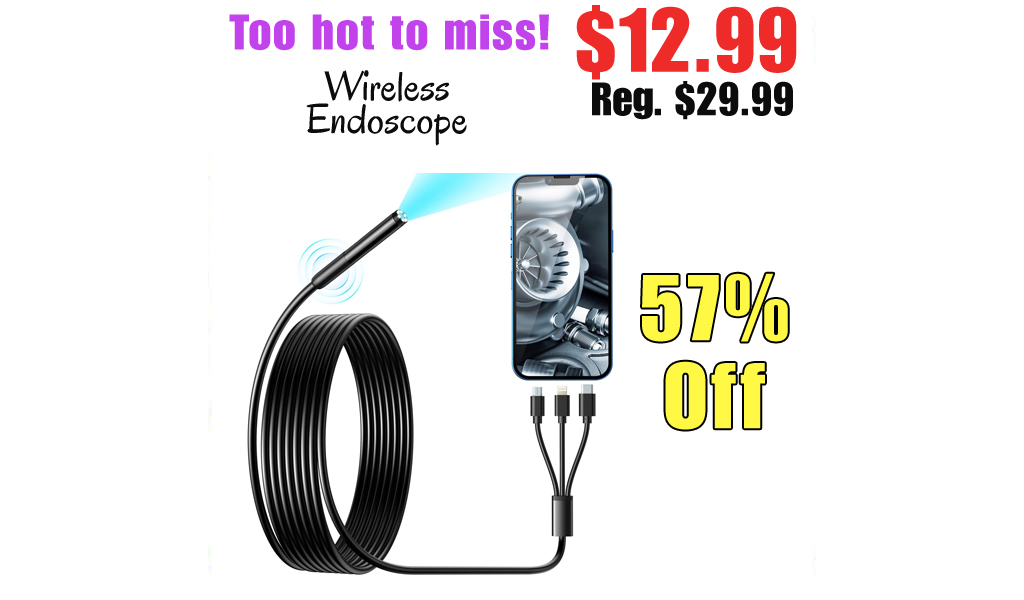 Wireless Endoscope Only $12.99 Shipped on Amazon (Regularly $29.99)