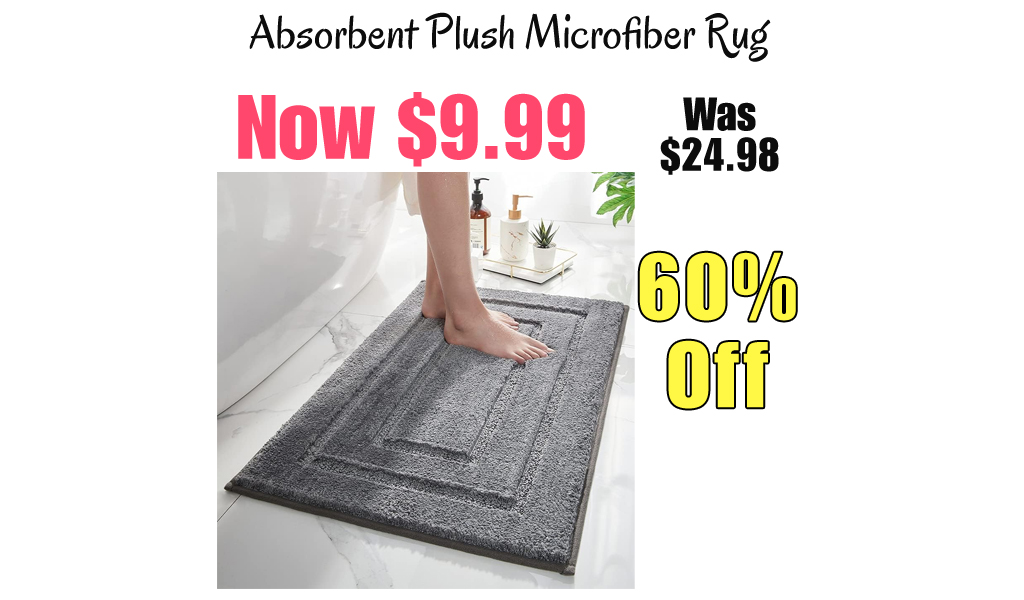 Absorbent Plush Microfiber Rug Only $9.99 Shipped on Amazon (Regularly $24.98)