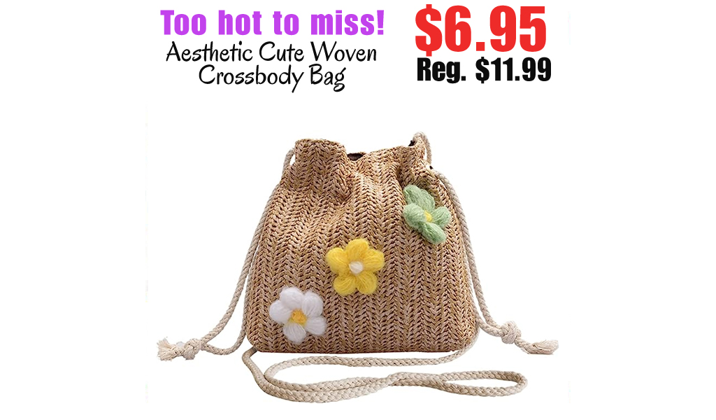 Aesthetic Cute Woven Crossbody Bag Only $6.95 Shipped on Amazon (Regularly $11.99)