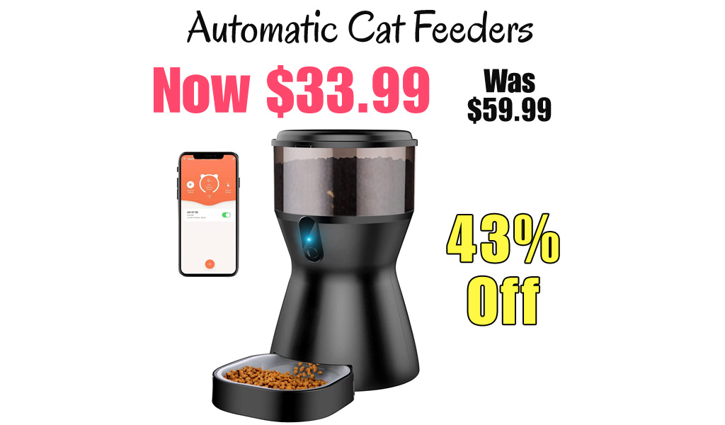 Automatic Cat Feeders Only $33.99 Shipped on Amazon (Regularly $59.99)