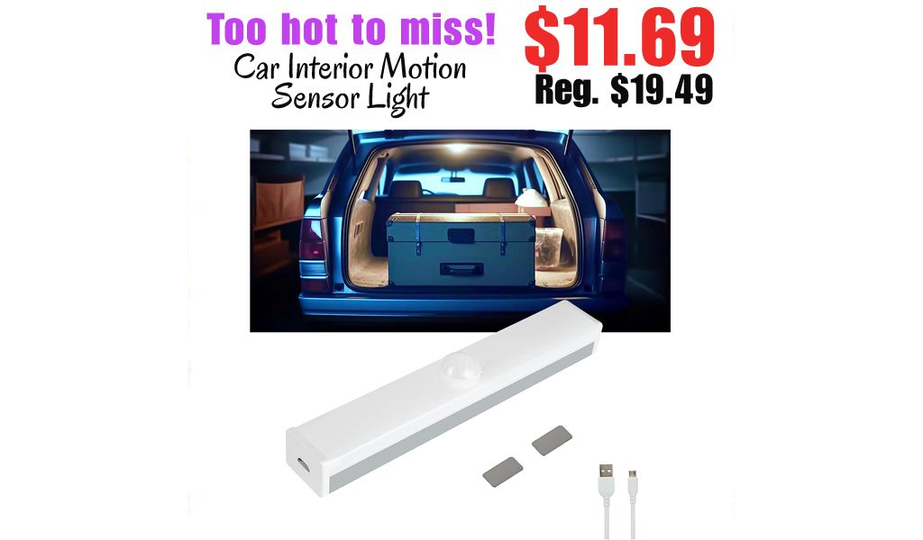 Car Interior Motion Sensor Light Only $11.69 Shipped on Amazon (Regularly $19.49)