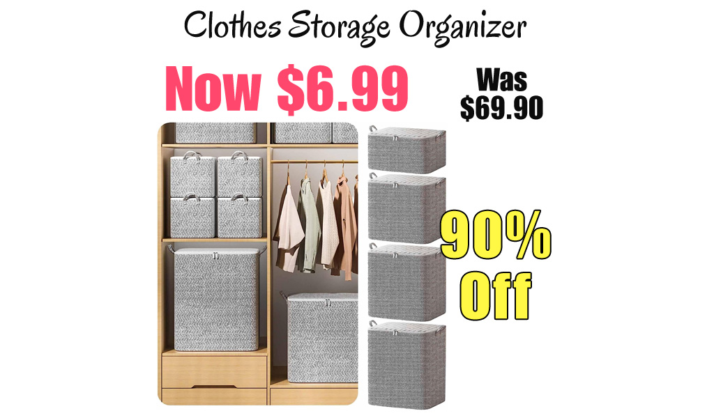 Clothes Storage Organizer Only $6.99 Shipped on Amazon (Regularly $69.90)