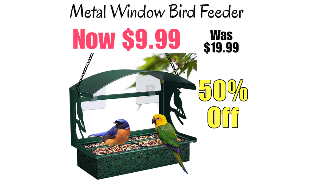 Metal Window Bird Feeder Only $9.99 Shipped on Amazon (Regularly $19.99)