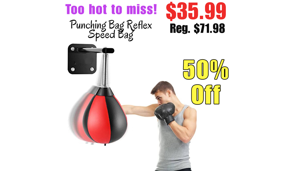 Punching Bag Reflex Speed Bag Only $35.99 Shipped on Amazon (Regularly $71.98)
