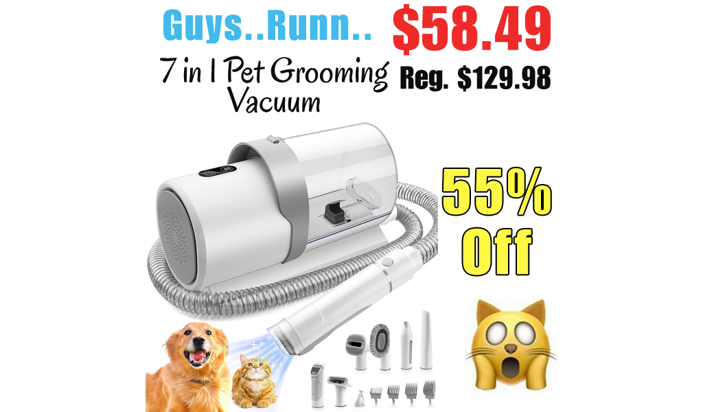 7 in 1 Pet Grooming Vacuum Only $58.49 Shipped on Amazon (Regularly $129.98)