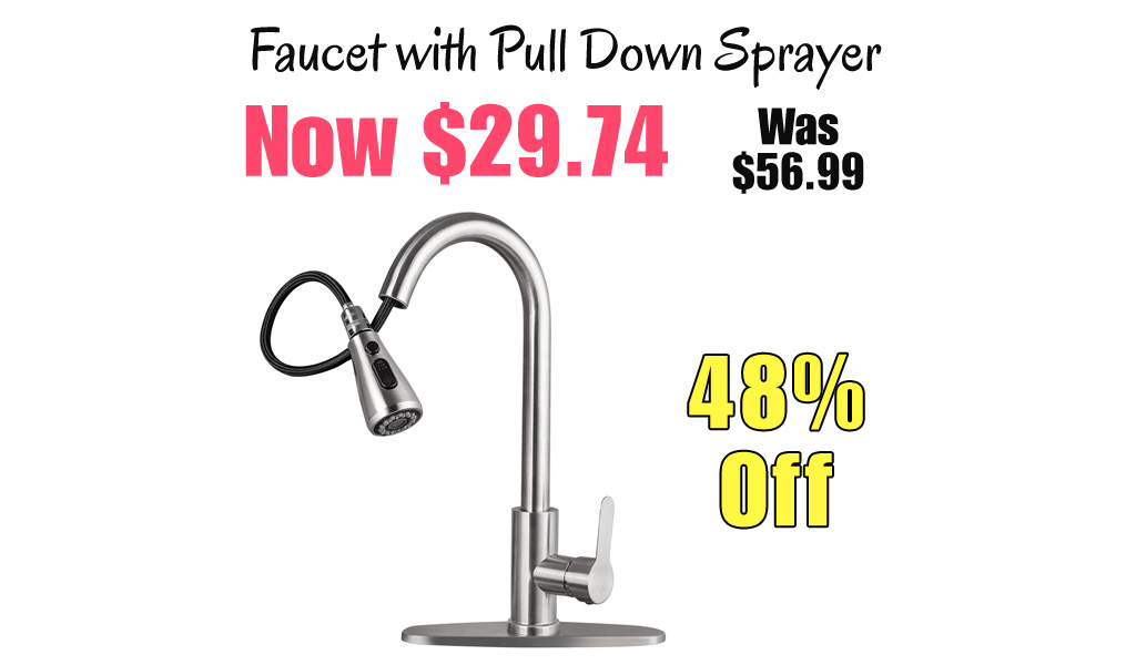 Faucet with Pull Down Sprayer Only $29.74 Shipped on Amazon (Regularly $56.99)