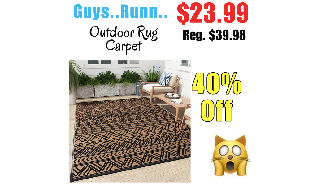 Outdoor Rug Carpet Only $23.99 Shipped on Amazon (Regularly $39.98)