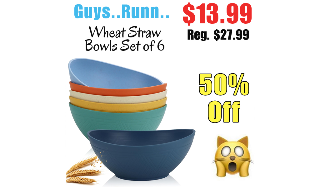 Wheat Straw Bowls Set of 6 Only $13.99 Shipped on Amazon (Regularly $27.99)