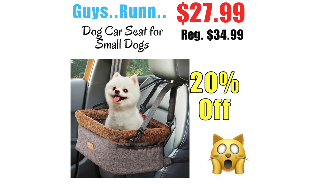 Dog Car Seat for Small Dogs Only $27.99 Shipped on Amazon (Regularly $34.99)