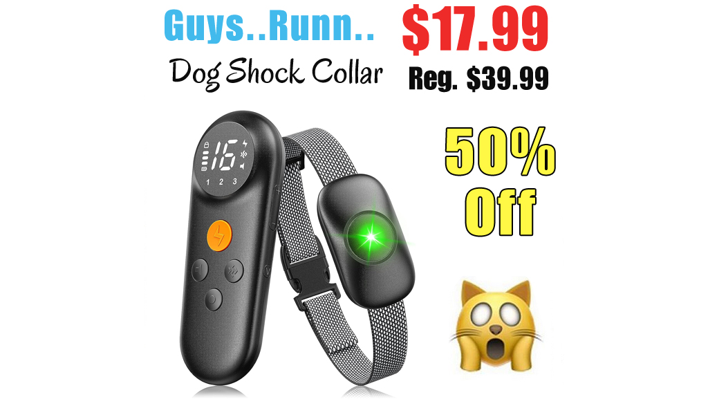 Dog Shock Collar Only $17.99 Shipped on Amazon (Regularly $39.99)