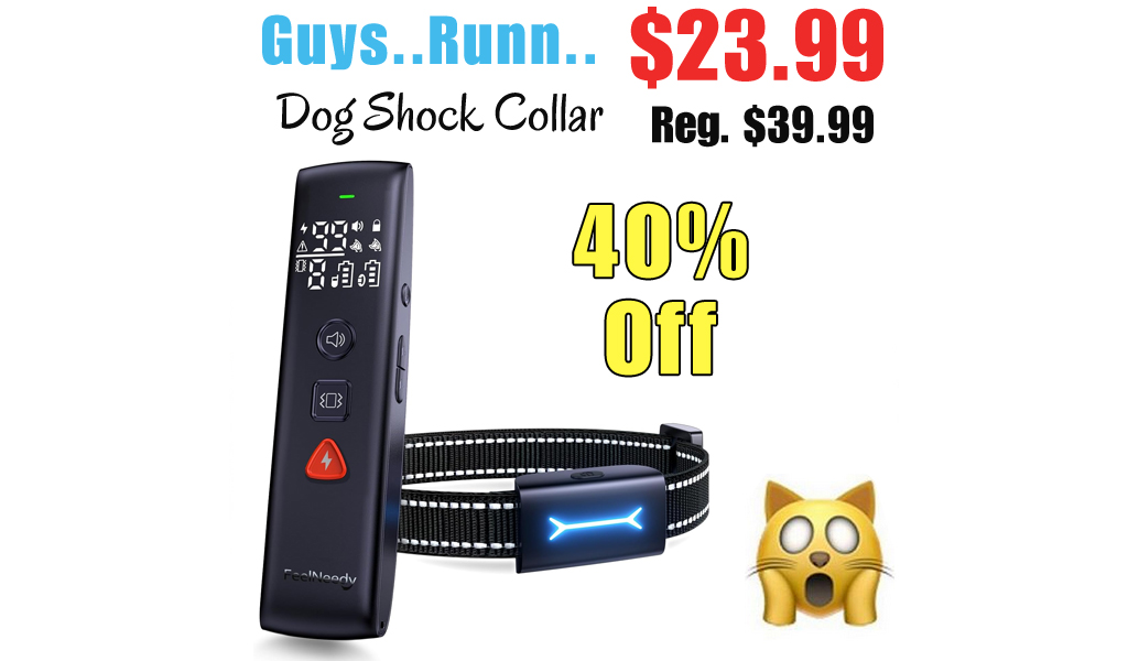 Dog Shock Collar Only $23.99 Shipped on Amazon (Regularly $39.99)