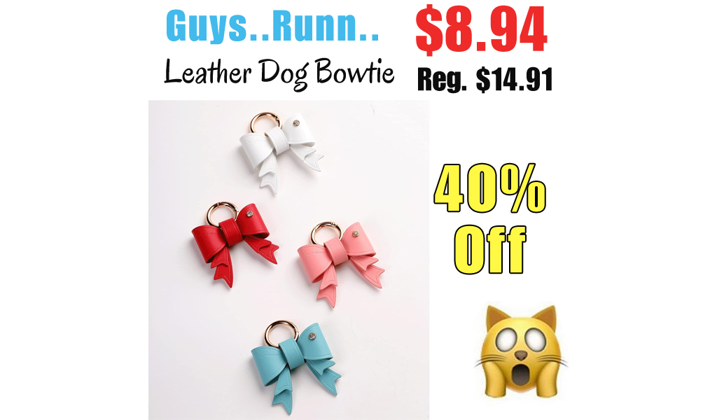 Leather Dog Bowtie Only $8.94 Shipped on Amazon (Regularly $14.91)