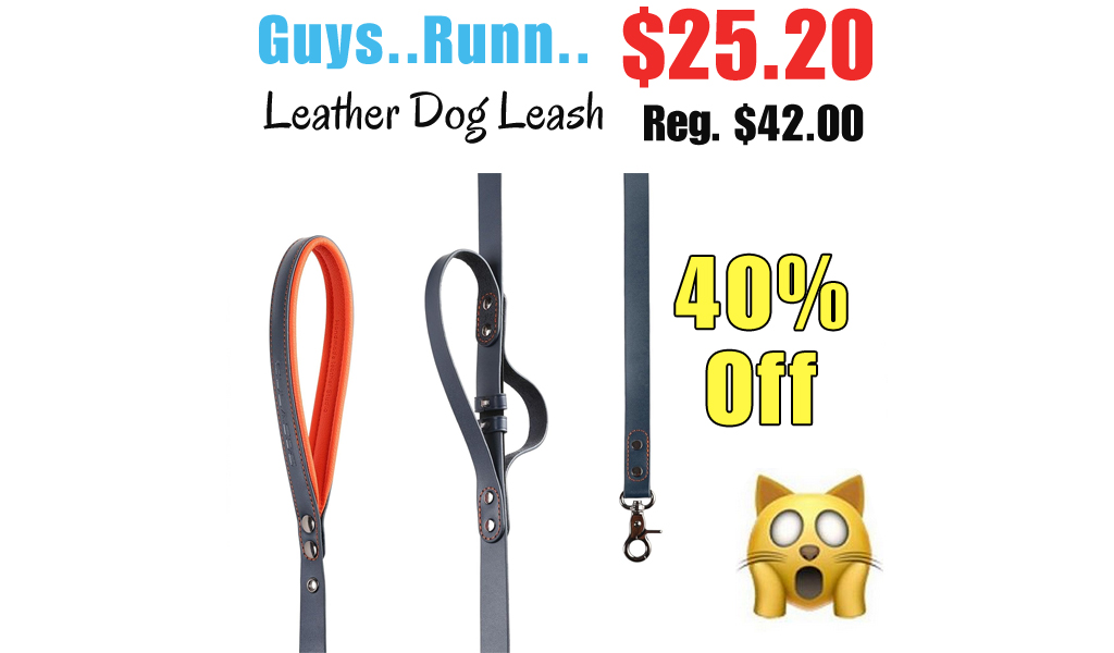 Leather Dog Leash Only $25.20 Shipped on Amazon (Regularly $42.00)