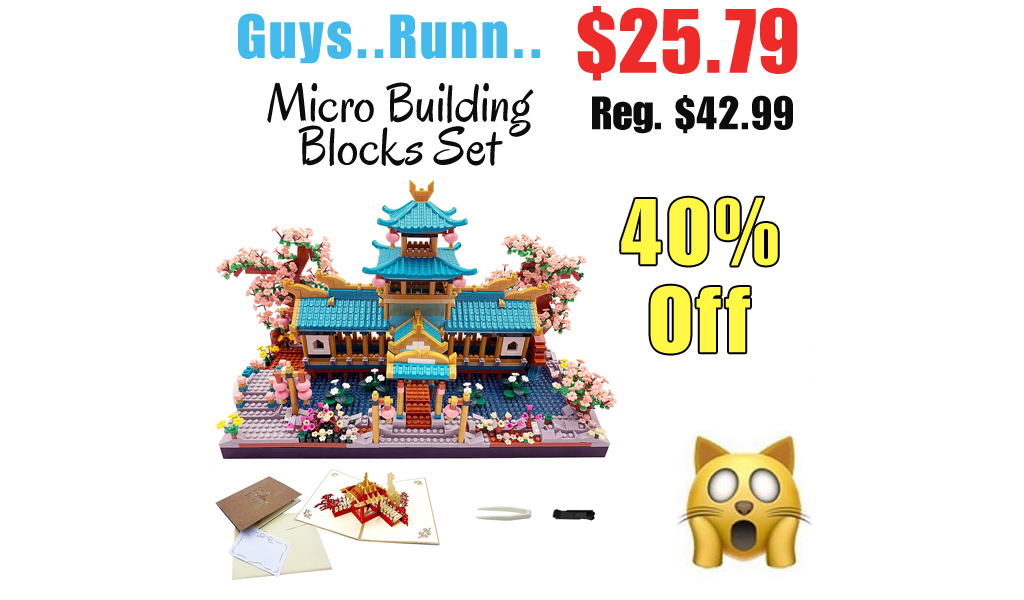Micro Building Blocks Set Only $25.79 Shipped on Amazon (Regularly $42.99)