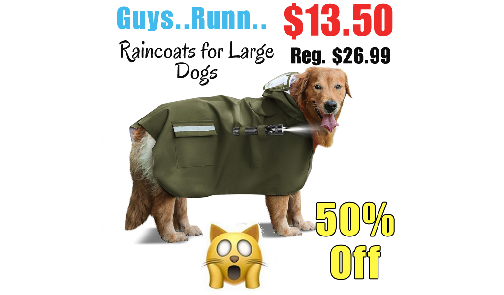Raincoats for Large Dogs Only $13.50 Shipped on Amazon (Regularly $26.99)