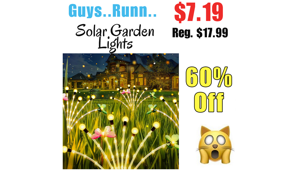 Solar Garden Lights Only $7.19 Shipped on Amazon (Regularly $17.99)