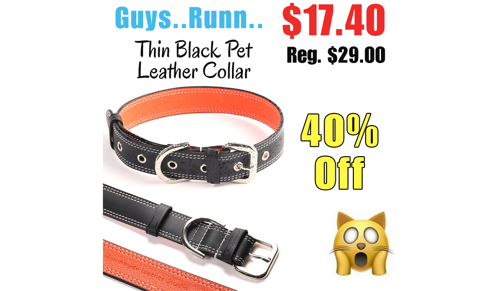 Thin Black Pet Leather Collar Only $17.40 Shipped on Amazon (Regularly $29.00)