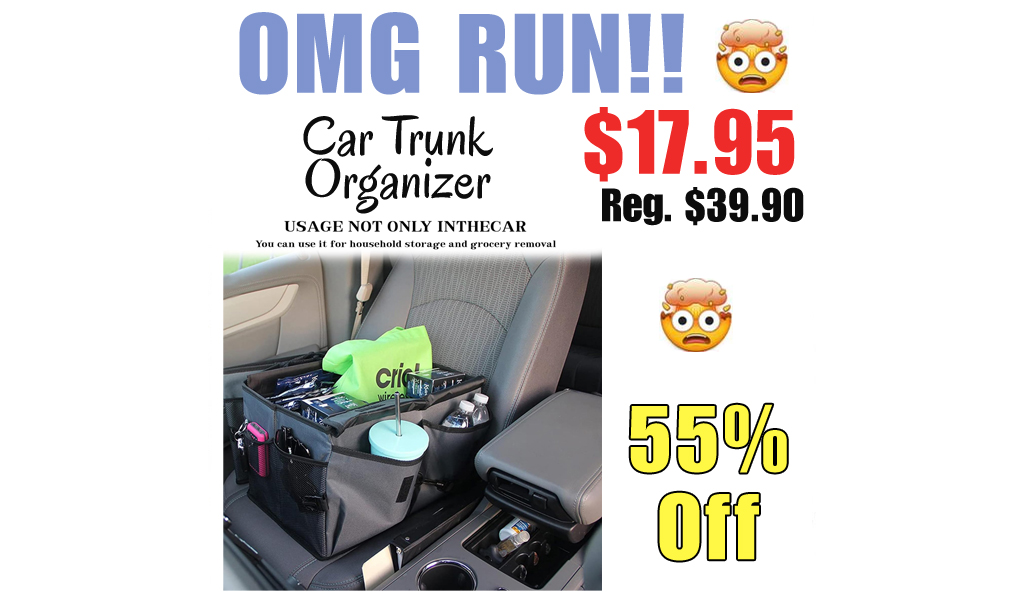 Car Trunk Organizer Only $17.95 Shipped on Amazon (Regularly $39.90)