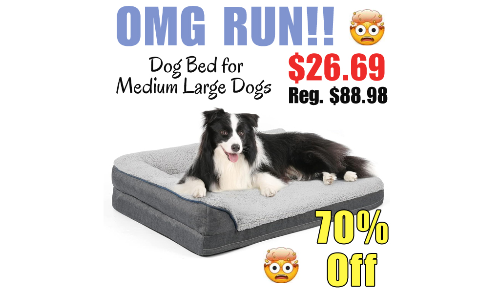 Dog Bed for Medium Large Dogs Only $26.69 Shipped on Amazon (Regularly $88.98)