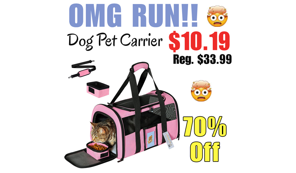 Dog Pet Carrier Only $10.19 Shipped on Amazon (Regularly $33.99)