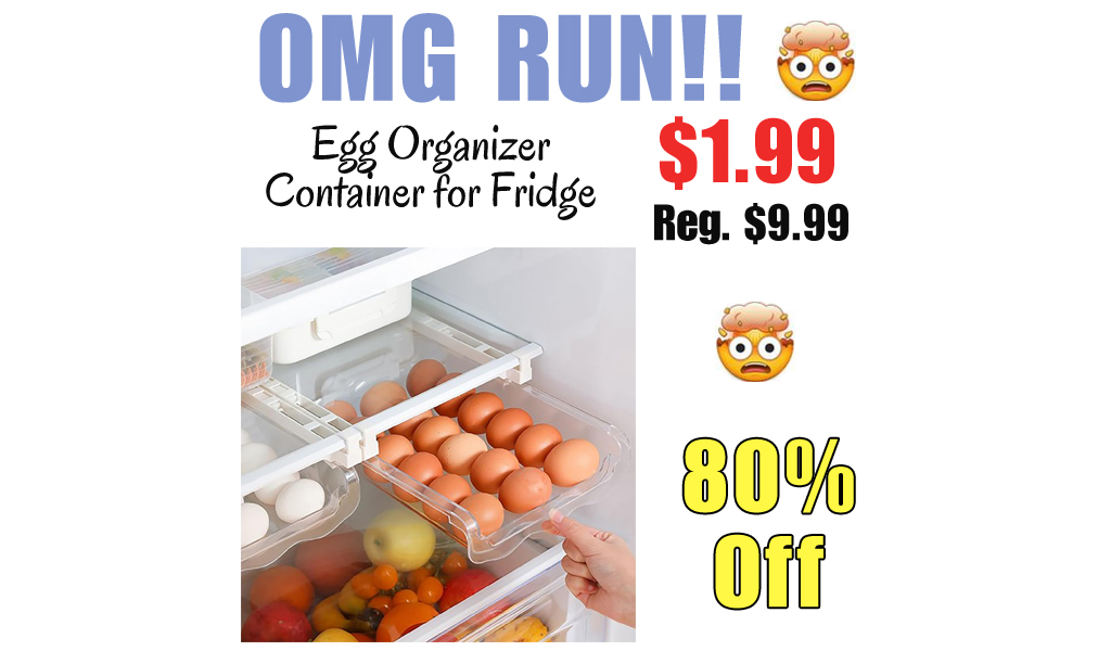 Egg Organizer Container for Fridge Only $1.99 Shipped on Amazon (Regularly $9.99)