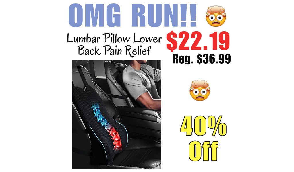 Lumbar Pillow Lower Back Pain Relief Only $22.19 Shipped on Amazon (Regularly $36.99)