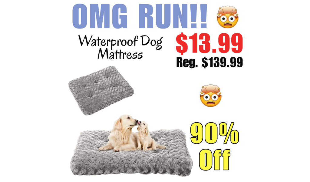 Waterproof Dog Mattress Only $13.99 Shipped on Amazon (Regularly $139.99)