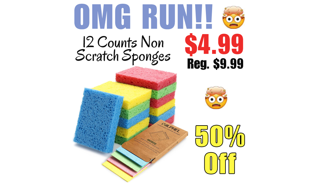 12 Counts Non Scratch Sponges Only $4.99 Shipped on Amazon (Regularly $9.99)