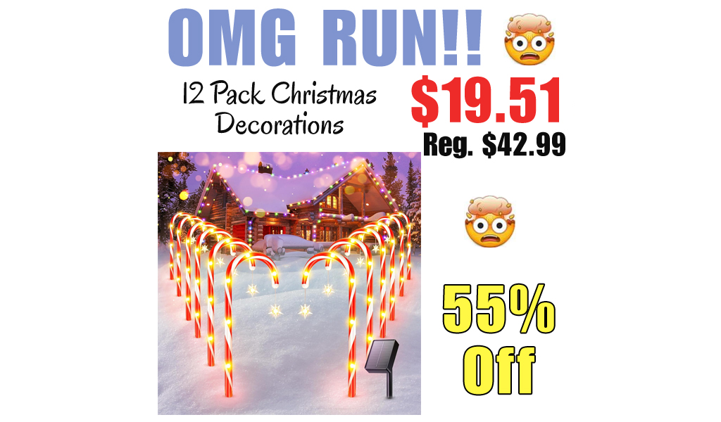 12 Pack Christmas Decorations Only $19.51 Shipped on Amazon (Regularly $42.99)