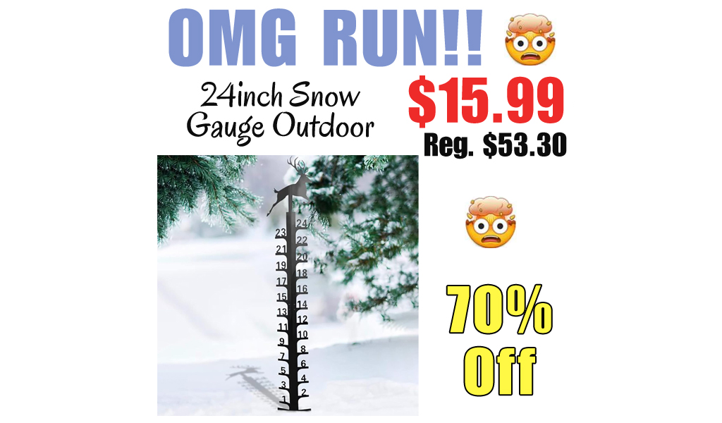 24inch Snow Gauge Outdoor Only $15.99 Shipped on Amazon (Regularly $53.30)