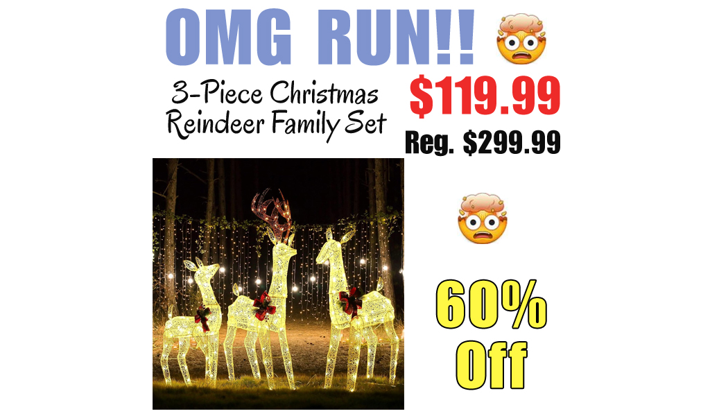 3-Piece Christmas Reindeer Family Set Only $119.99 Shipped on Amazon (Regularly $299.99)