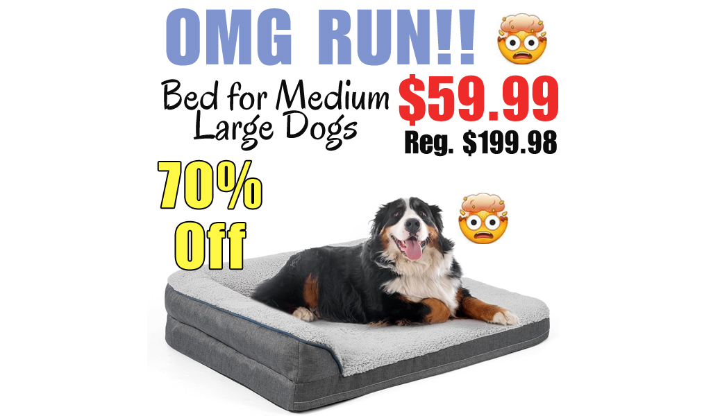 Bed for Medium Large Dogs Only $59.99 Shipped on Amazon (Regularly $199.98)