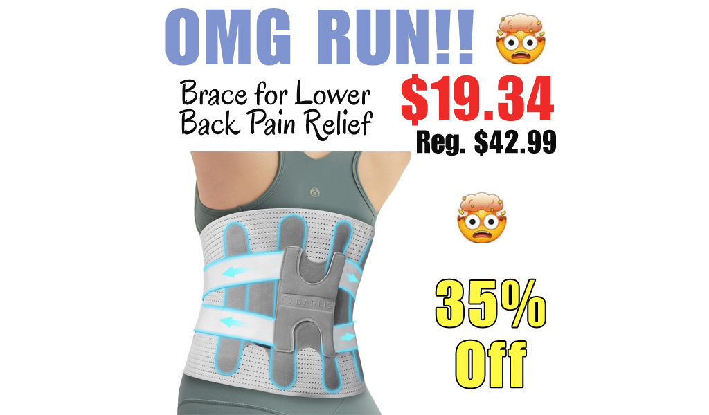 Brace for Lower Back Pain Relief Only $19.34 Shipped on Amazon (Regularly $42.99)