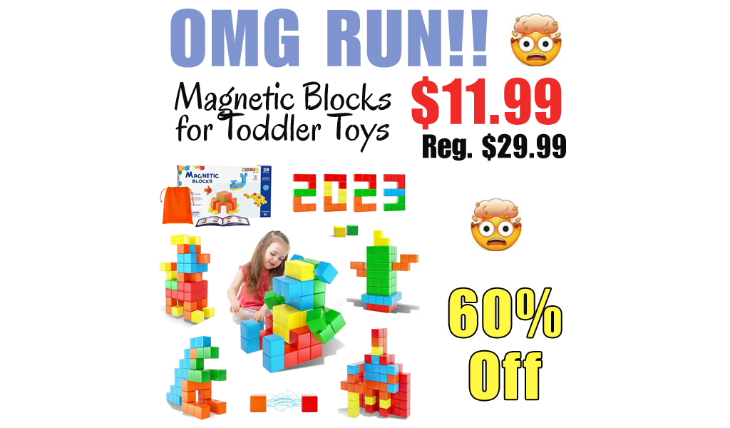 Magnetic Blocks for Toddler Toys Only $11.99 Shipped on Amazon (Regularly $29.99)