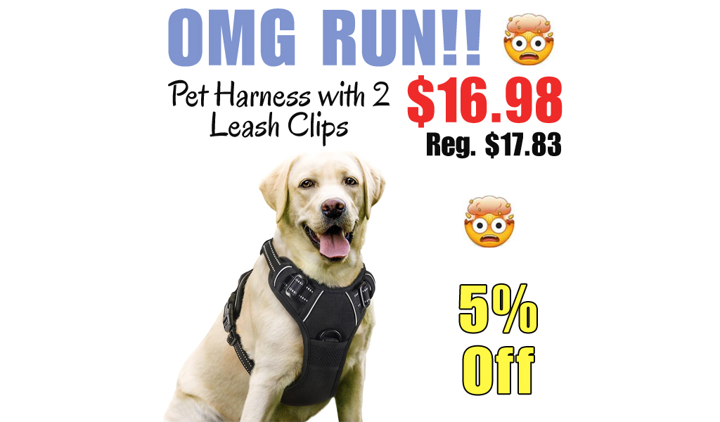 Pet Harness with 2 Leash Clips Only $16.98 Shipped on Amazon (Regularly $17.83)