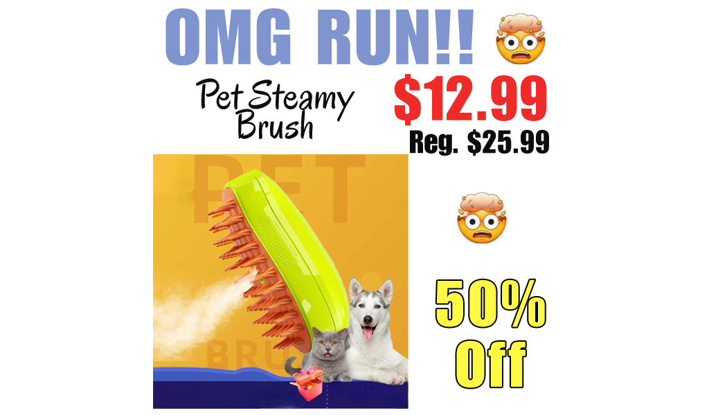 Pet Steamy Brush Only $12.99 Shipped on Amazon (Regularly $25.99)