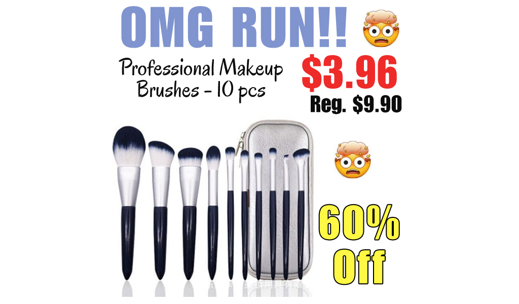 Professional Makeup Brushes - 10 pcs Only $3.96 Shipped on Amazon (Regularly $9.90)
