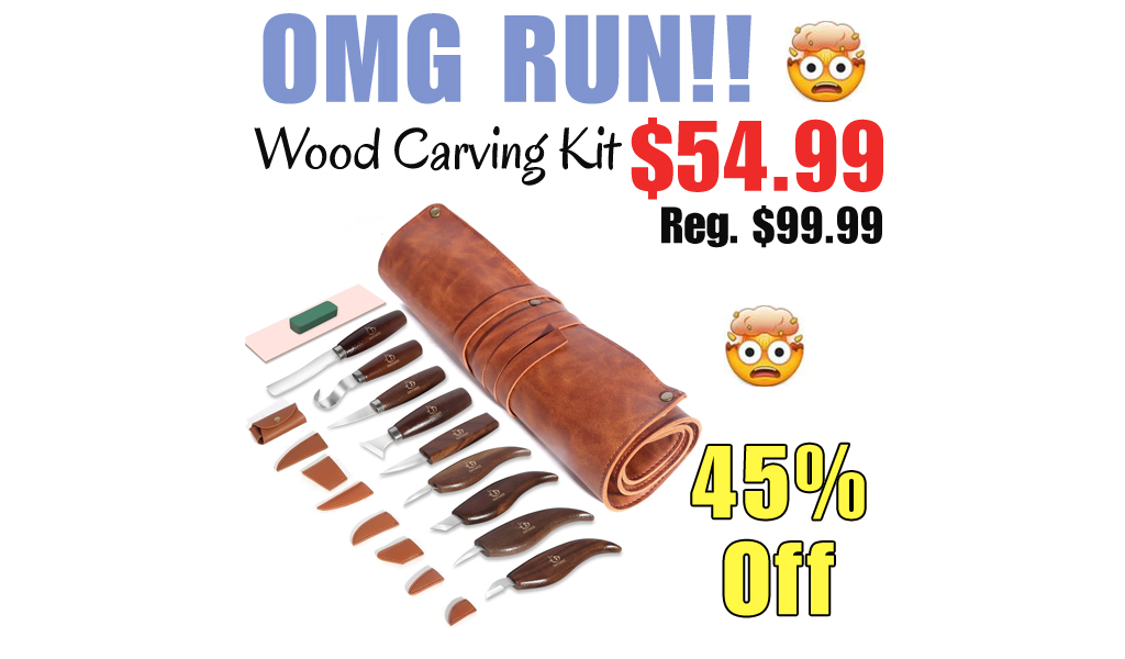 Wood Carving Kit Only $54.99 Shipped on Amazon (Regularly $99.99)
