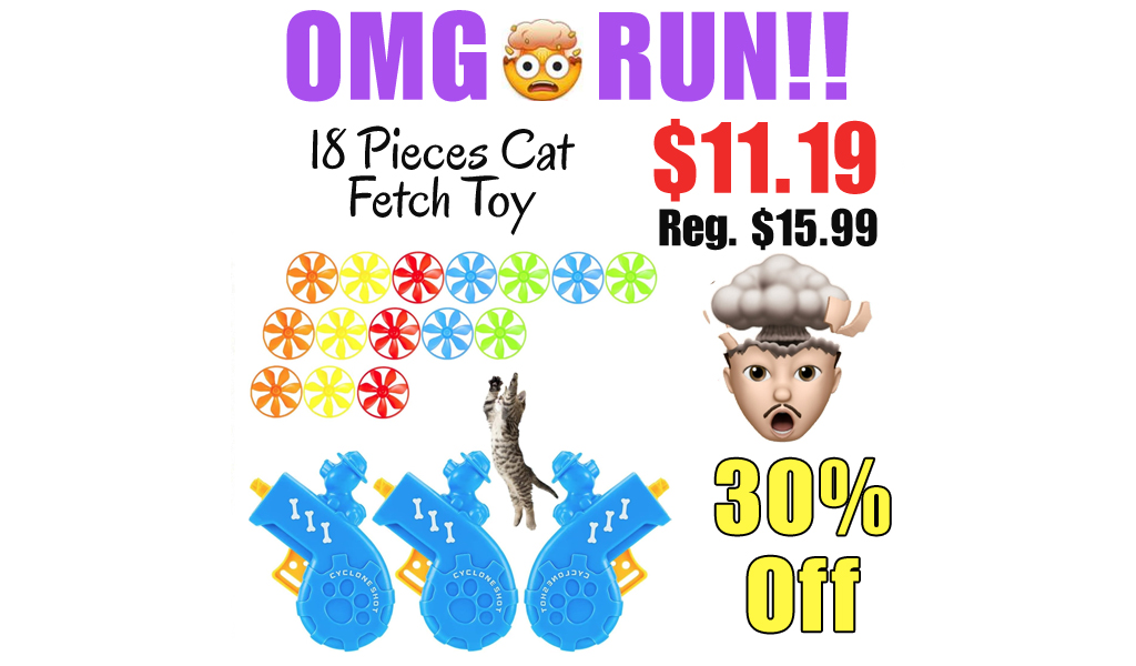18 Pieces Cat Fetch Toy Only $11.19 Shipped on Amazon (Regularly $15.99)