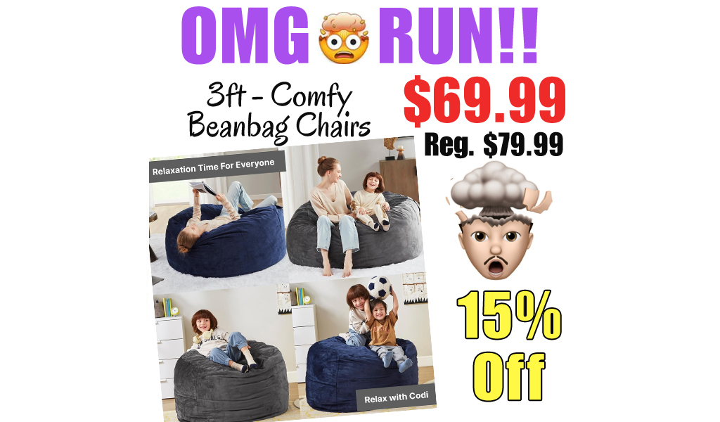 3ft - Comfy Beanbag Chairs Only $69.99 Shipped on Amazon (Regularly $79.99)