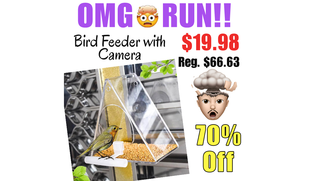 Bird Feeder with Camera Only $19.98 Shipped on Amazon (Regularly $66.63)