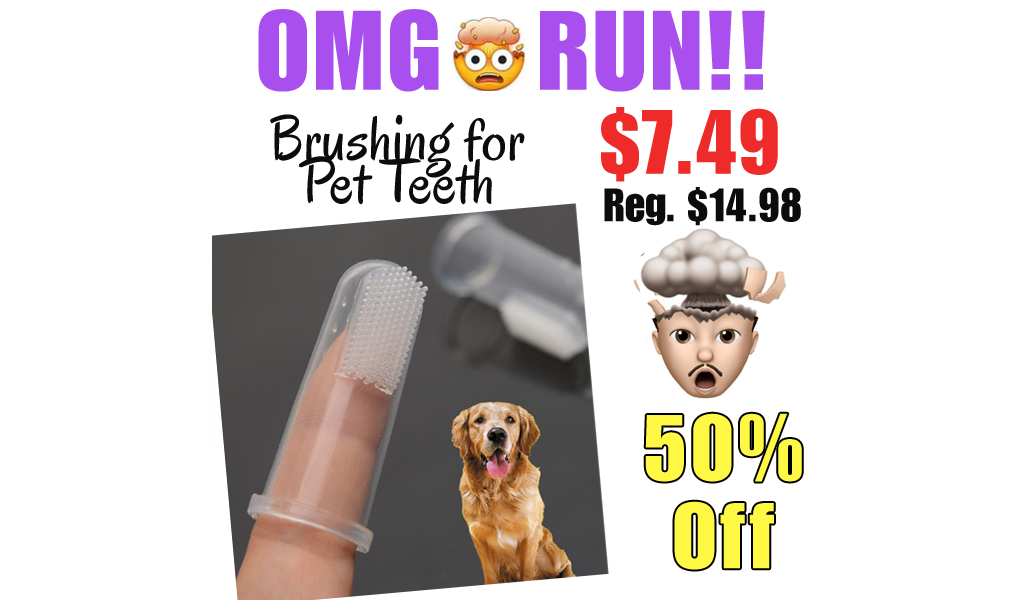 Brushing for Pet Teeth Only $7.49 Shipped on Amazon (Regularly $14.98)