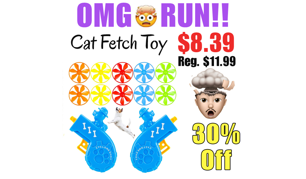 Cat Fetch Toy Only $8.39 Shipped on Amazon (Regularly $11.99)