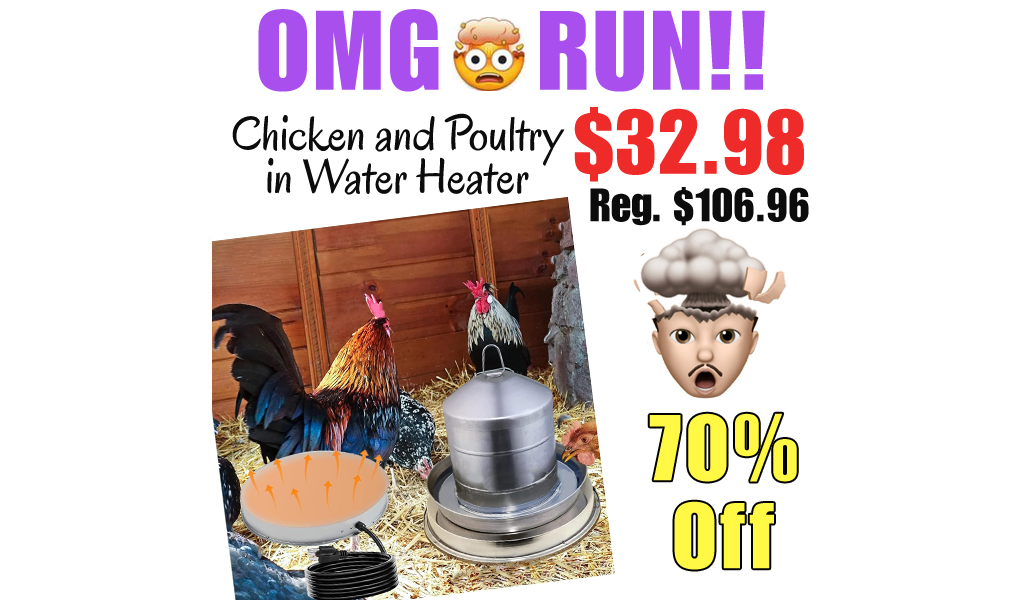 Chicken and Poultry in Water Heater Only $32.98 Shipped on Amazon (Regularly $106.96)