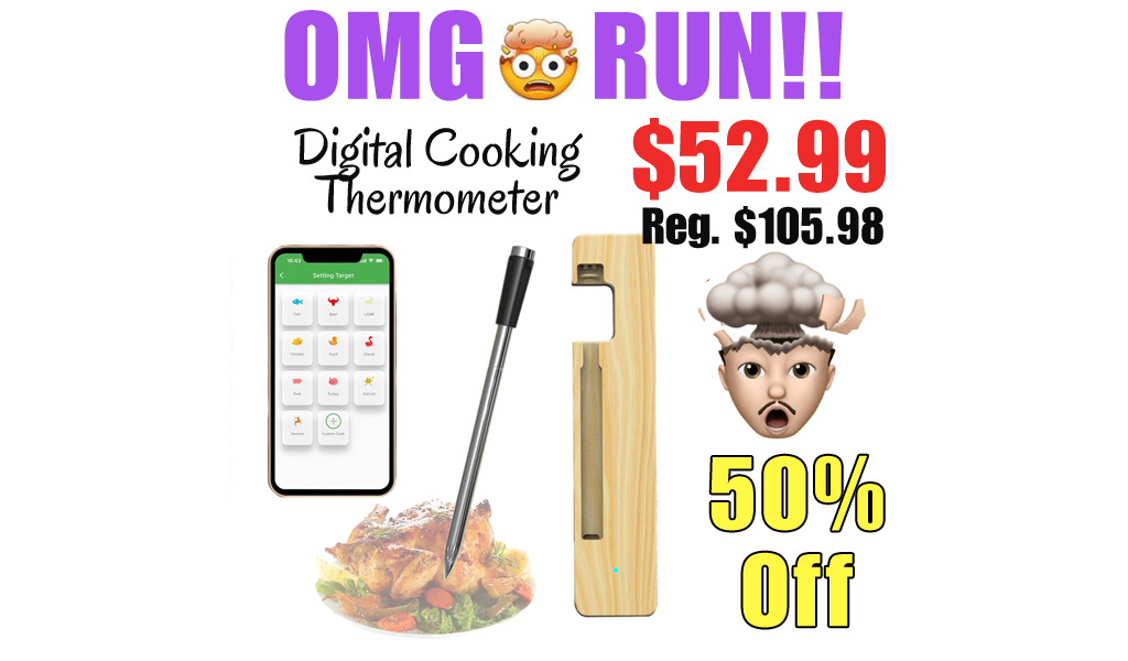 Digital Cooking Thermometer Only $52.99 Shipped on Amazon (Regularly $105.98)