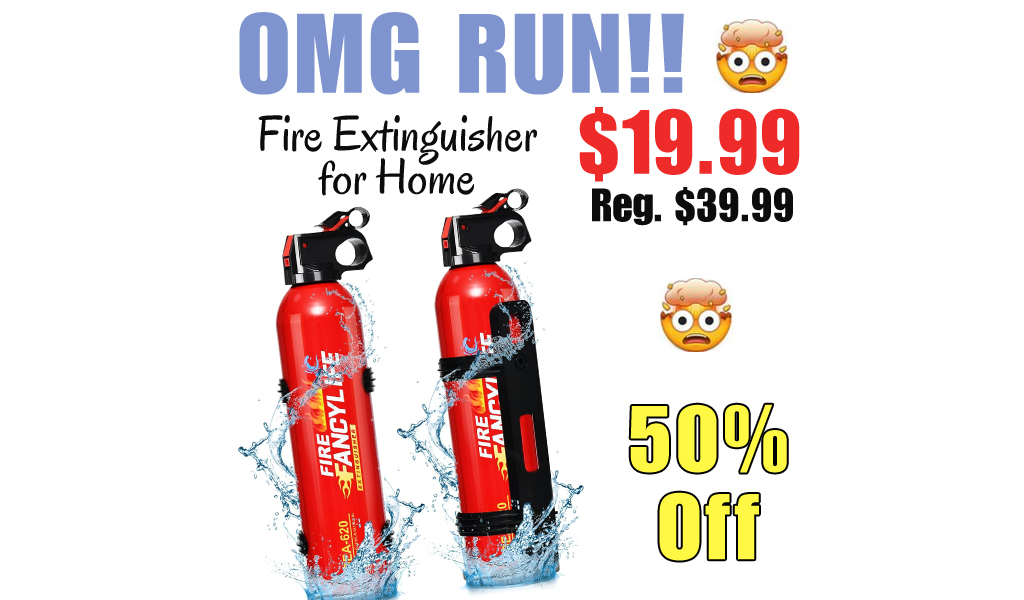 Fire Extinguisher for Home Only $19.99 Shipped on Amazon (Regularly $39.99)