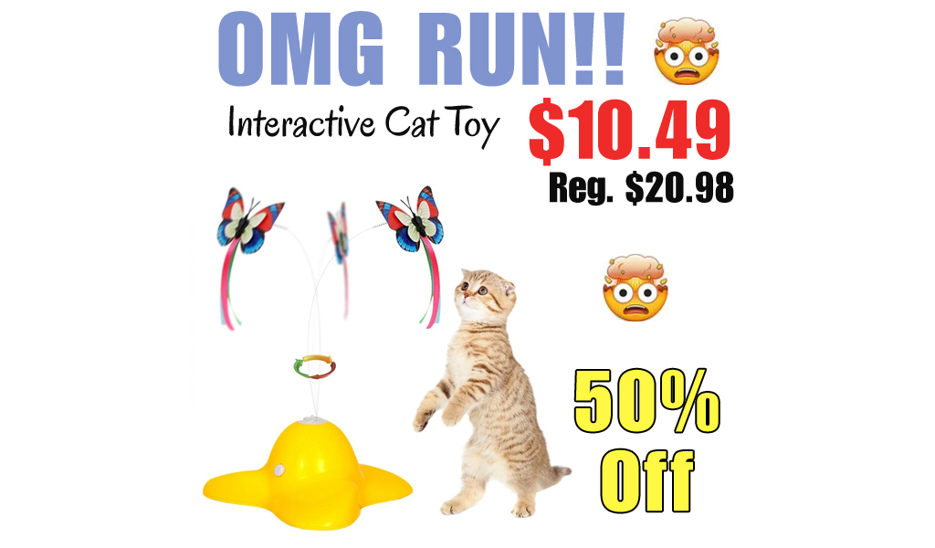 Interactive Cat Toy Only $10.49 Shipped on Amazon (Regularly $20.98)