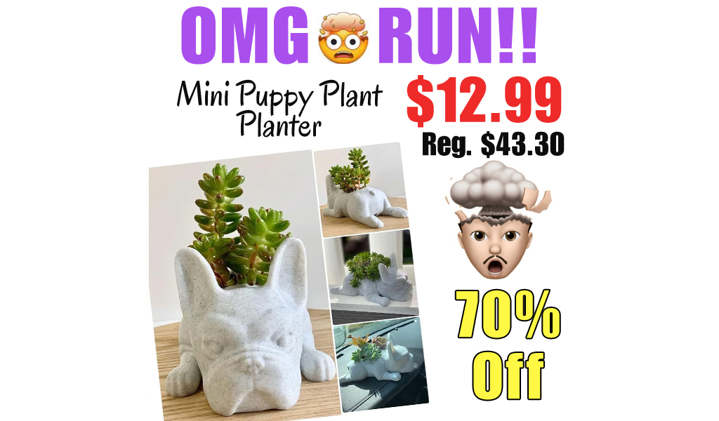 Mini Puppy Plant Planter Only $12.99 Shipped on Amazon (Regularly $43.30)